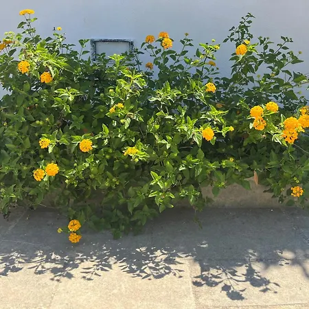 Villino Monte Sant'angelo * Otrante