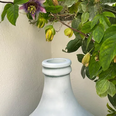 Villino Monte Sant'angelo *