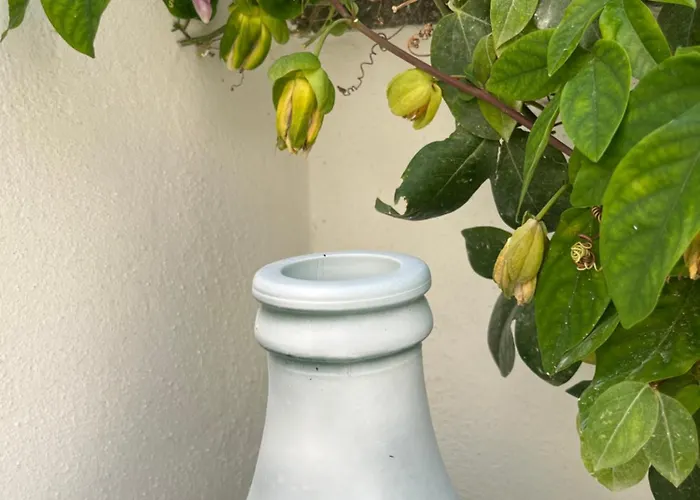 Villino Monte Sant'angelo *